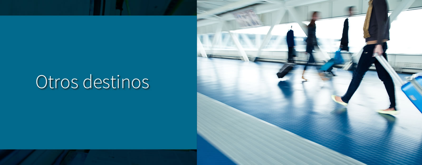 + Más información...